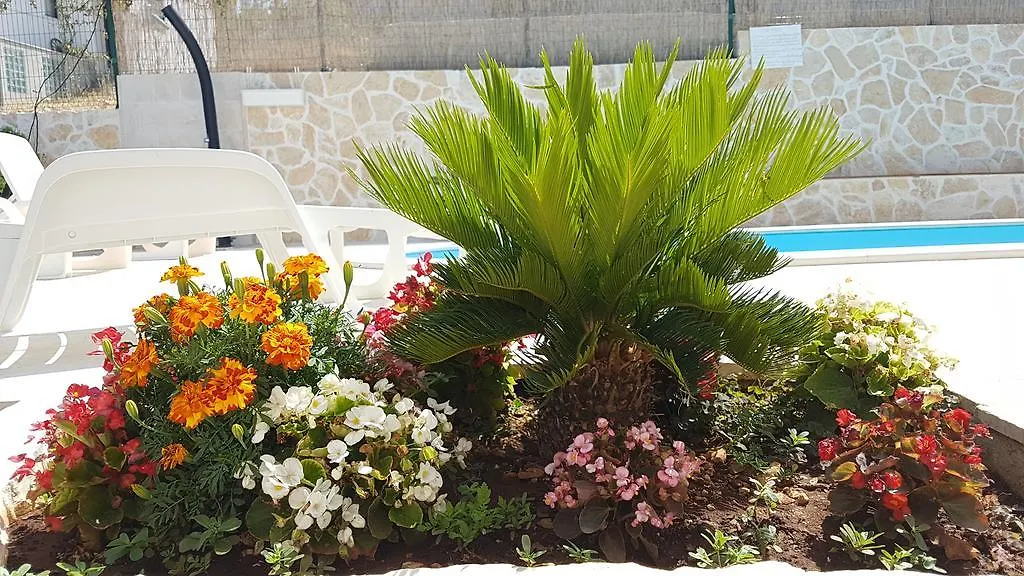 Apartments Jobst Trogir